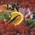 Teekanne Obst 01